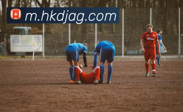 ag官网发展历程